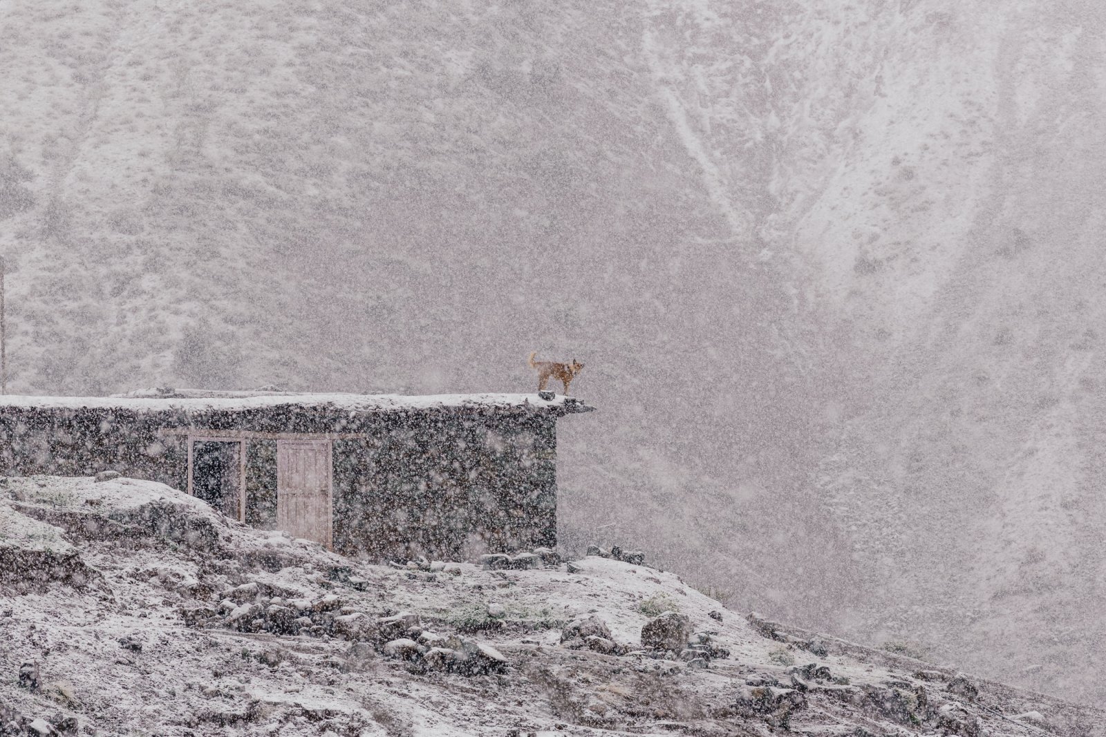 &copy; Archiv Ines Papert