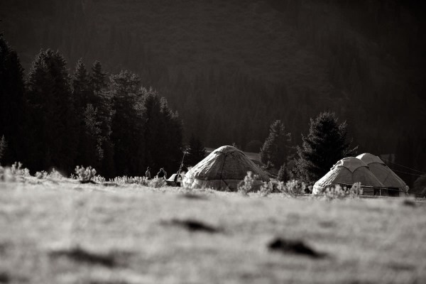 &copy; Franz Walter