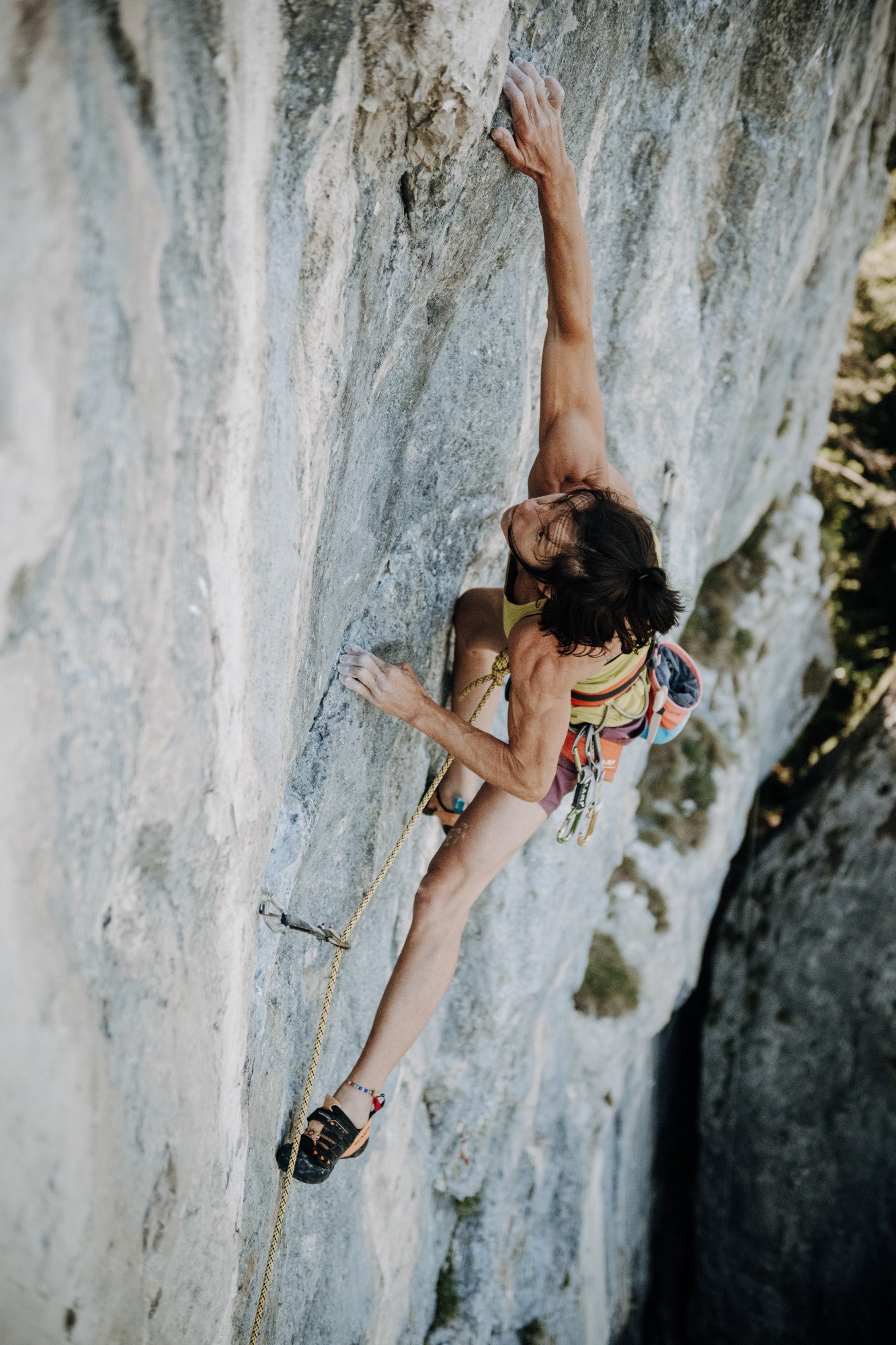 &copy; Claudia Ziegler